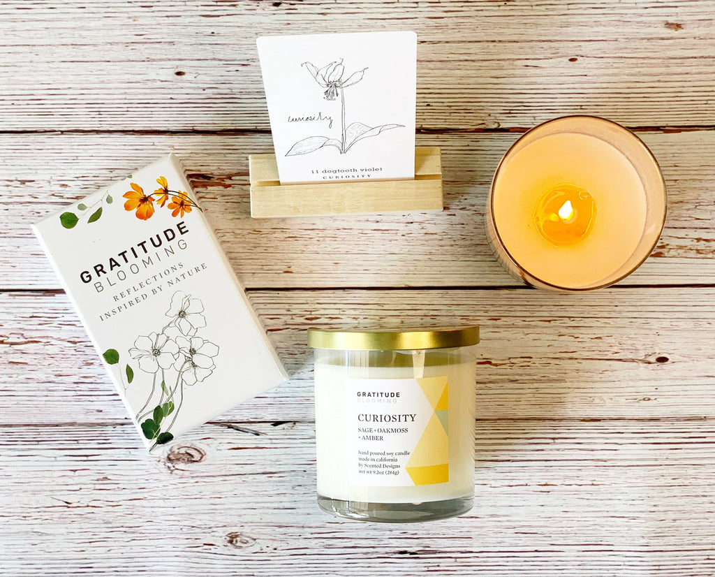 The Perfect Nurse's Week Gift: Self-Care & Gratitude Combined